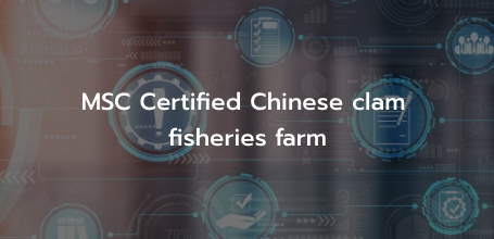 MSC Certified Chinese clam fisheries farm 